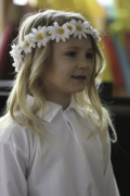 Cīrulītis 2019